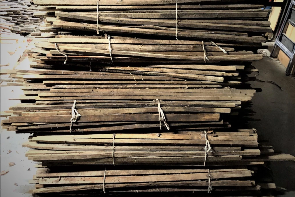 kentuckywalkingstick